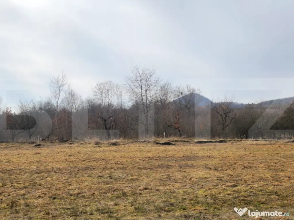 Teren extravilan, 20 de arii, Valea Rusului, pretabil pentru 
