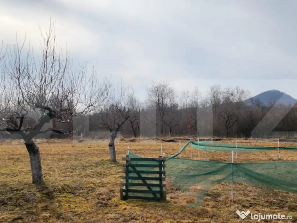 Teren extravilan, 20 de arii, Valea Rusului, pretabil pentru 