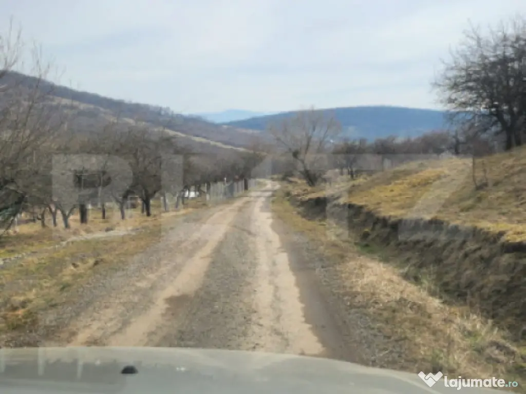 Teren extravilan, 20 de arii, Valea Rusului, pretabil pentru 
