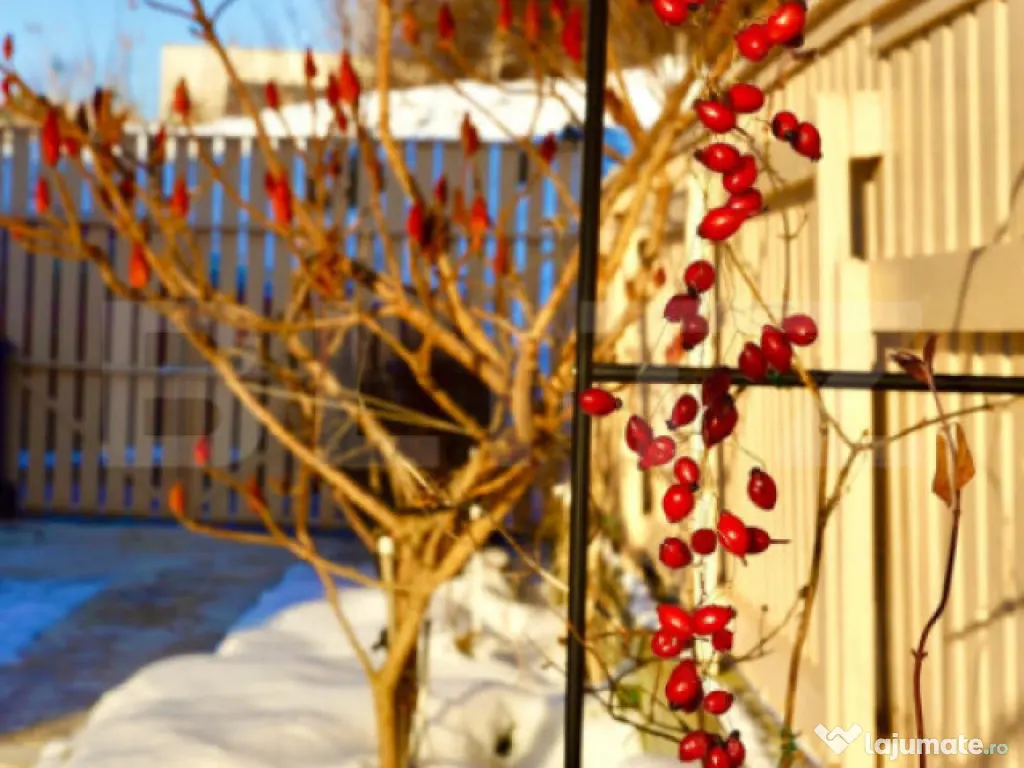 Vilă Premium în Borhanci – 270 mp Utili , 7 Camere, priv 