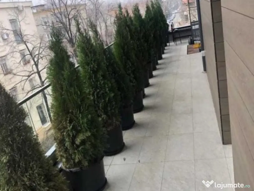 Apartament 3 camere Floreasca | Frederic Chopin 