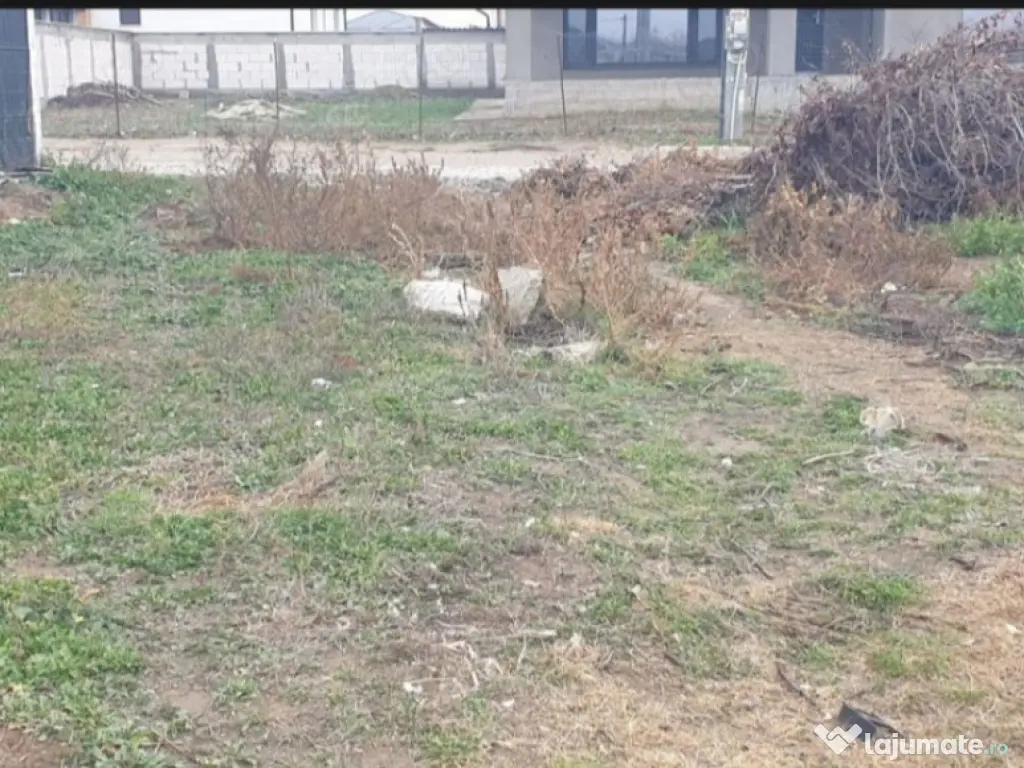 Teren 500 mp intravilan , Damila , 25 m front 