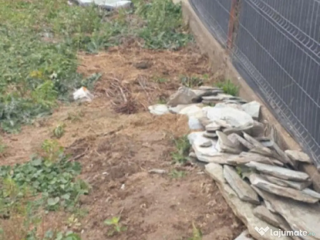 Teren 500 mp intravilan , Damila , 25 m front 