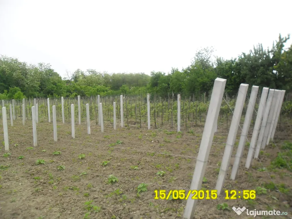 Spalieri beton gard/ vie / gard beton / tuburi beton 