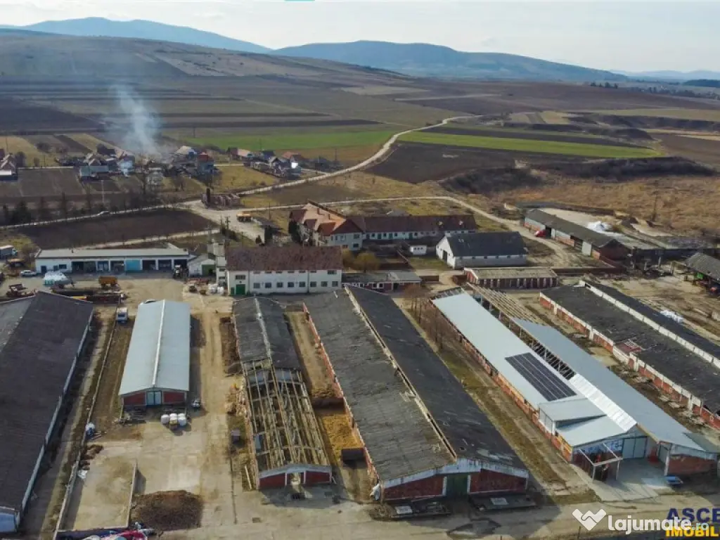 FILM! Complex agrozootehnic cu traditie, echipat,pretios pot 