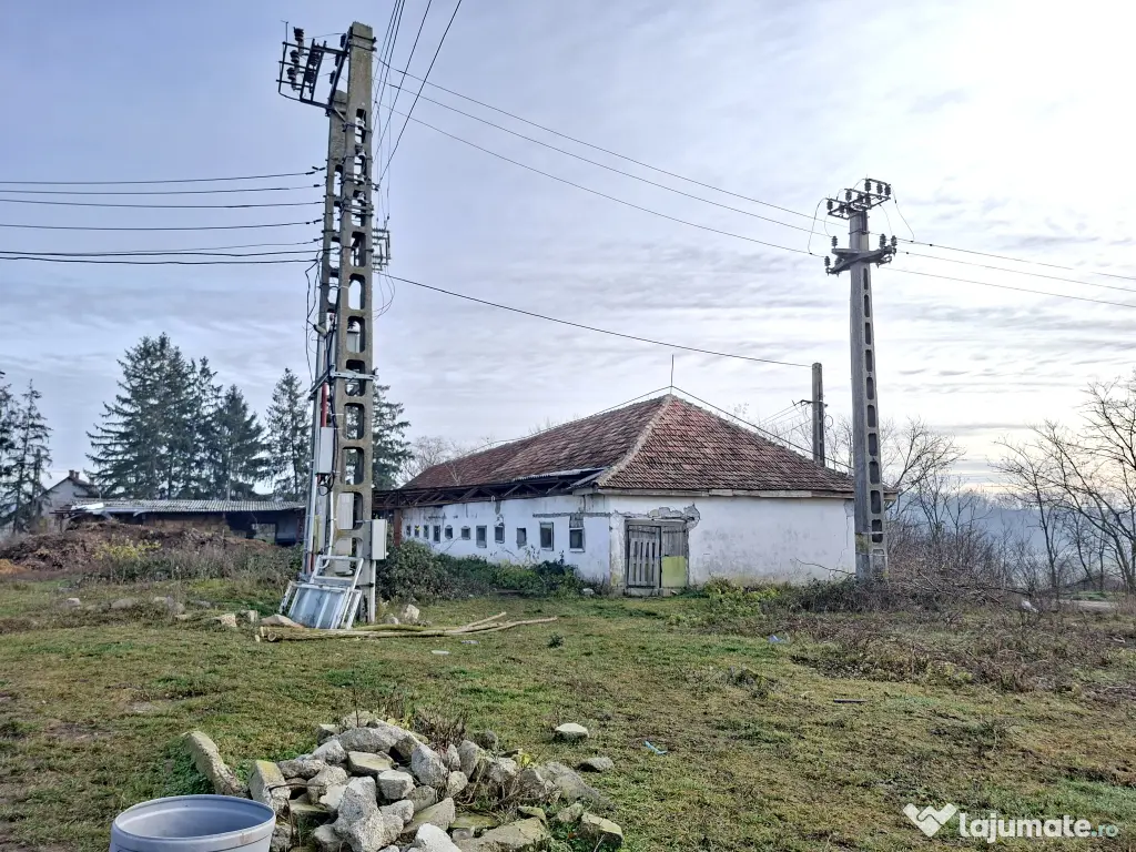 De vanzare 1 ha teren intravilan cu 2 grajduri acoperite cu tigla