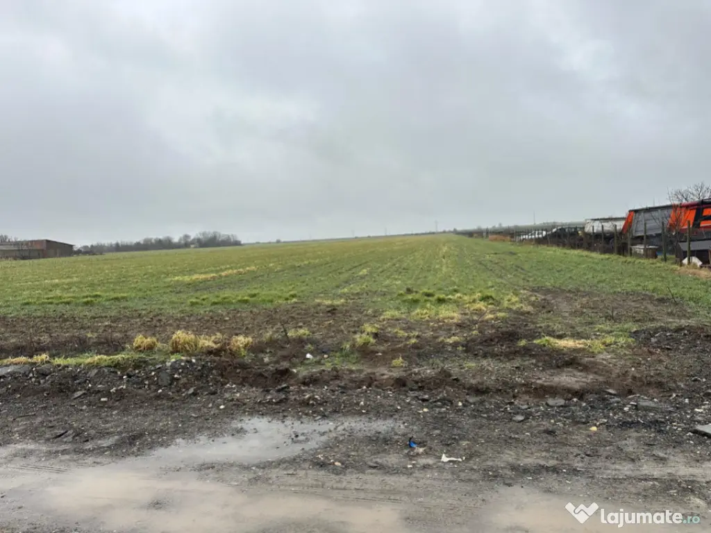 Teren 14.785 mp , zona Ovidiu, Constanta 