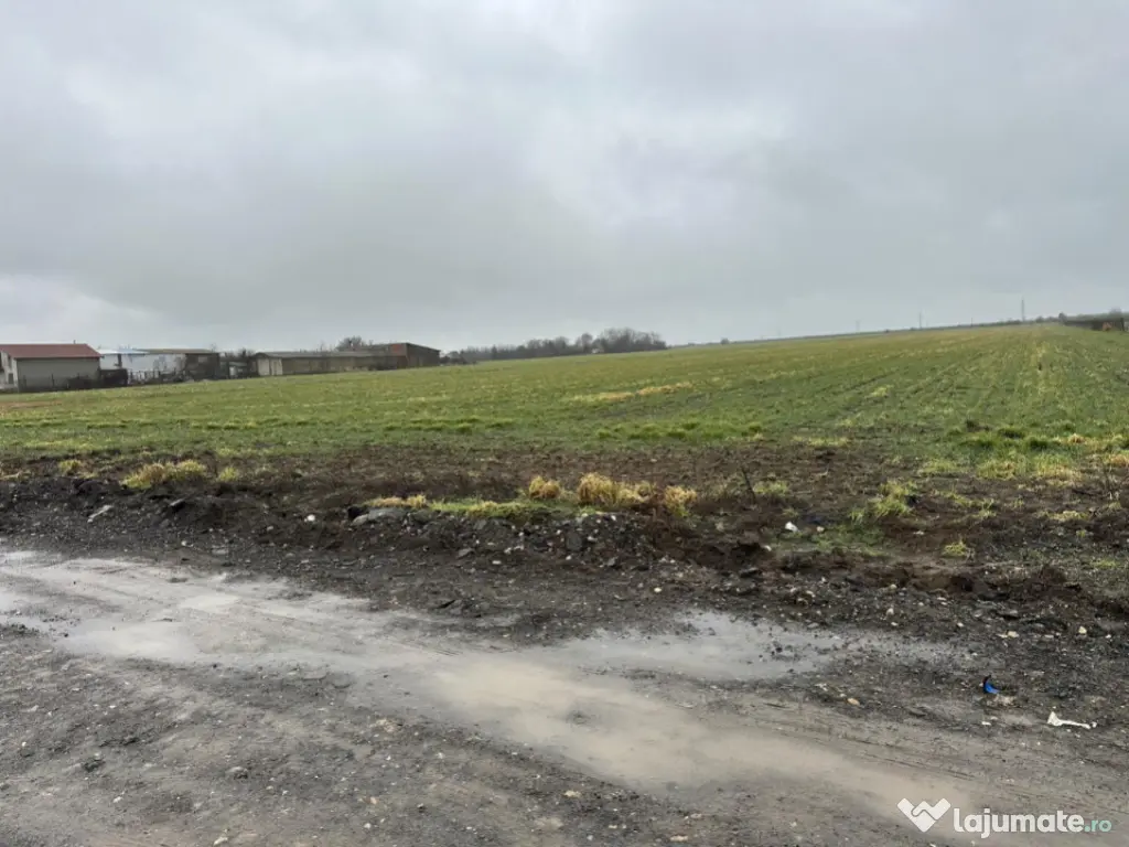 Teren 14.785 mp , zona Ovidiu, Constanta 