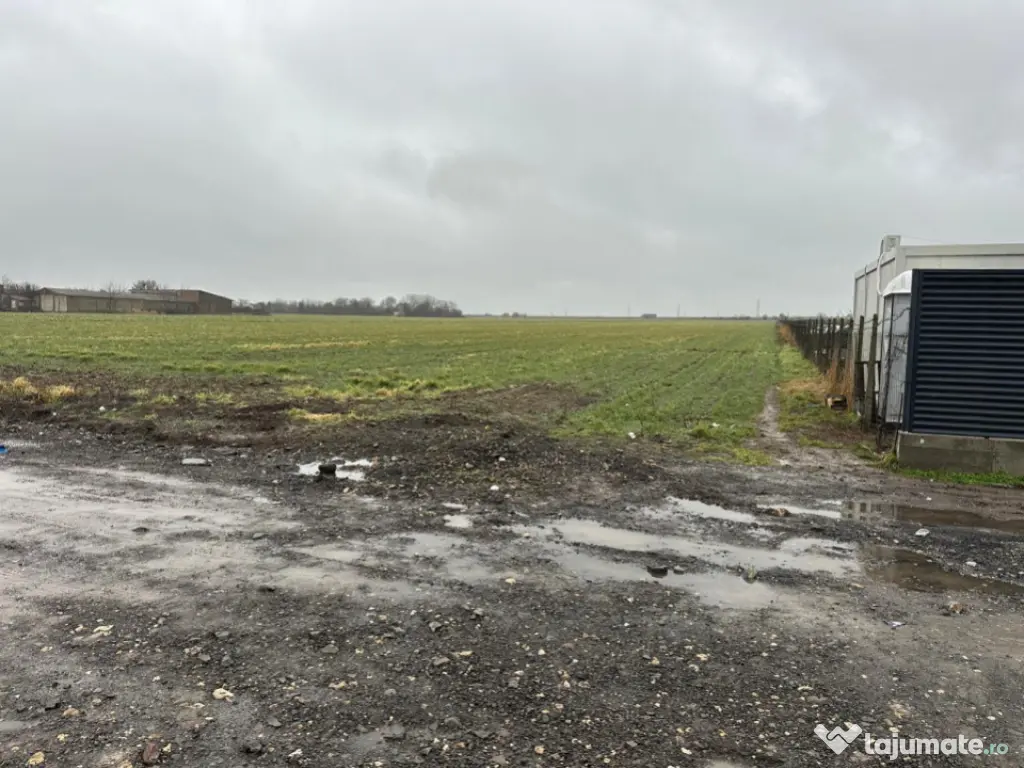 Teren 14.785 mp , zona Ovidiu, Constanta 