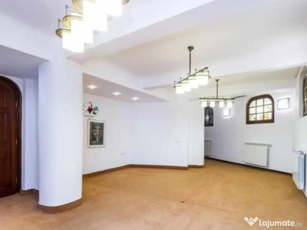 Ferdinand spatiu inchiriat 140 mp 