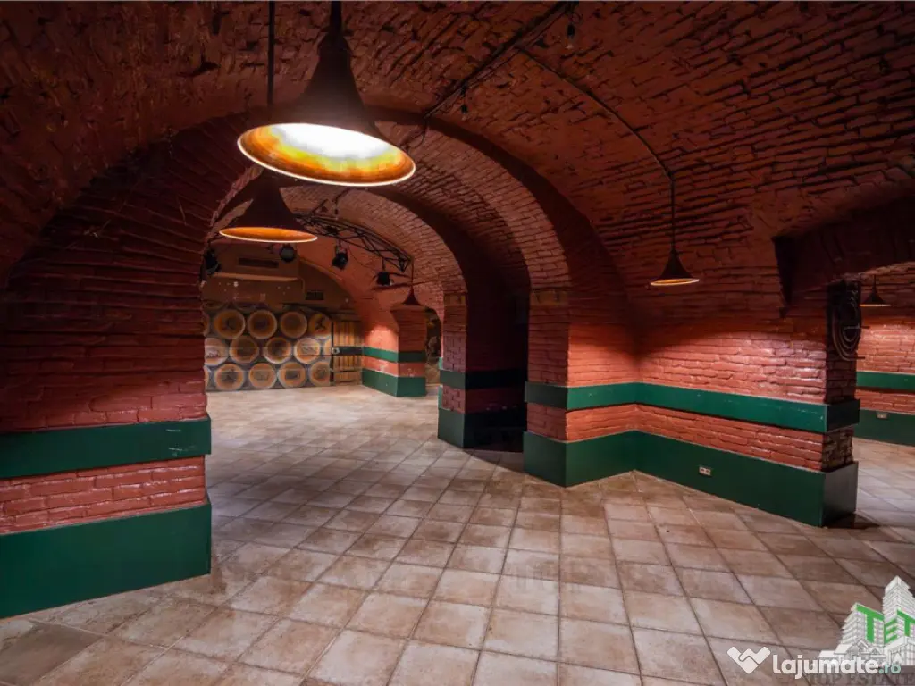 Proprietate Piata Unirii - teren 1000mp 2 constructii 