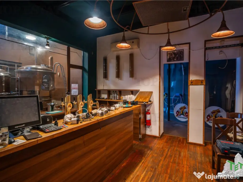 Proprietate Piata Unirii - teren 1000mp 2 constructii 