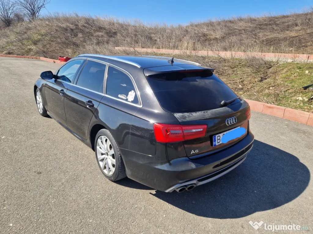 Vând-Porci 850 lei Perechea 