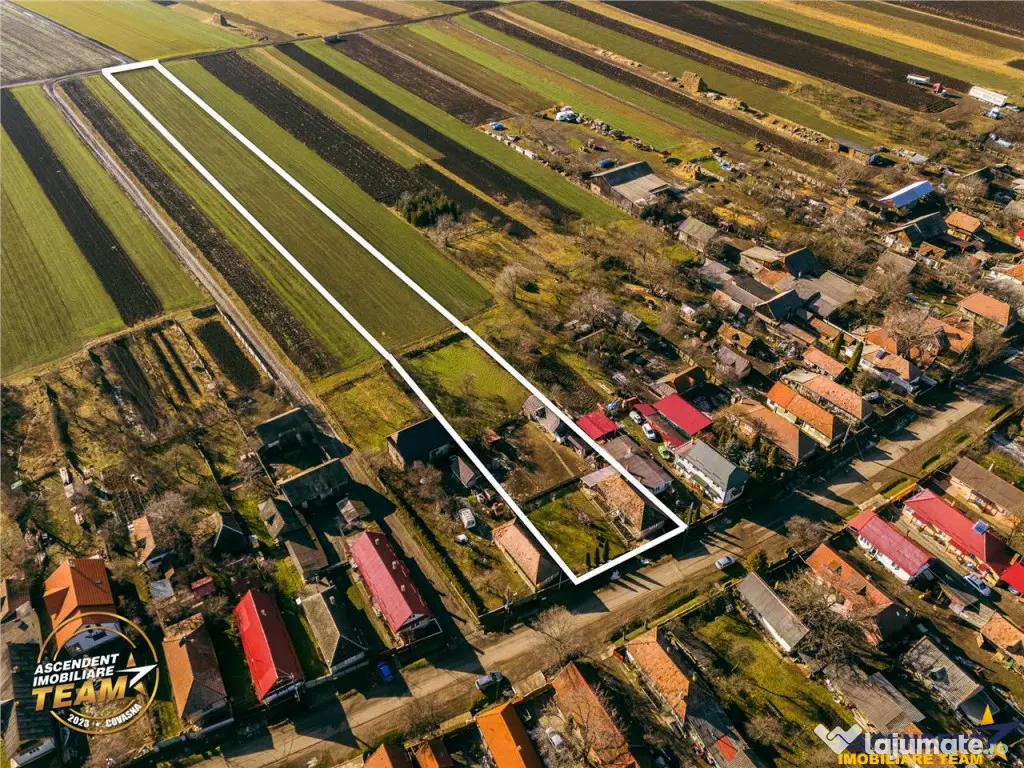 FILM! Casa traditionala, pe domeniu pretios, de 7.608 mp, Ce 