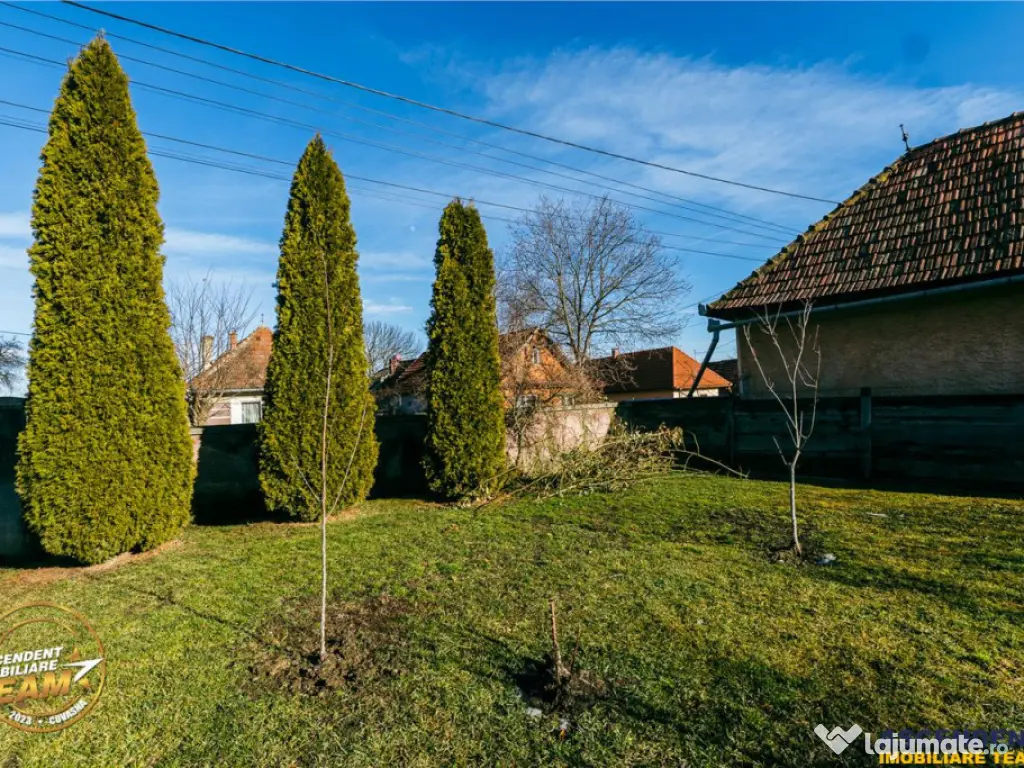 FILM! Casa traditionala, pe domeniu pretios, de 7.608 mp, Ce 