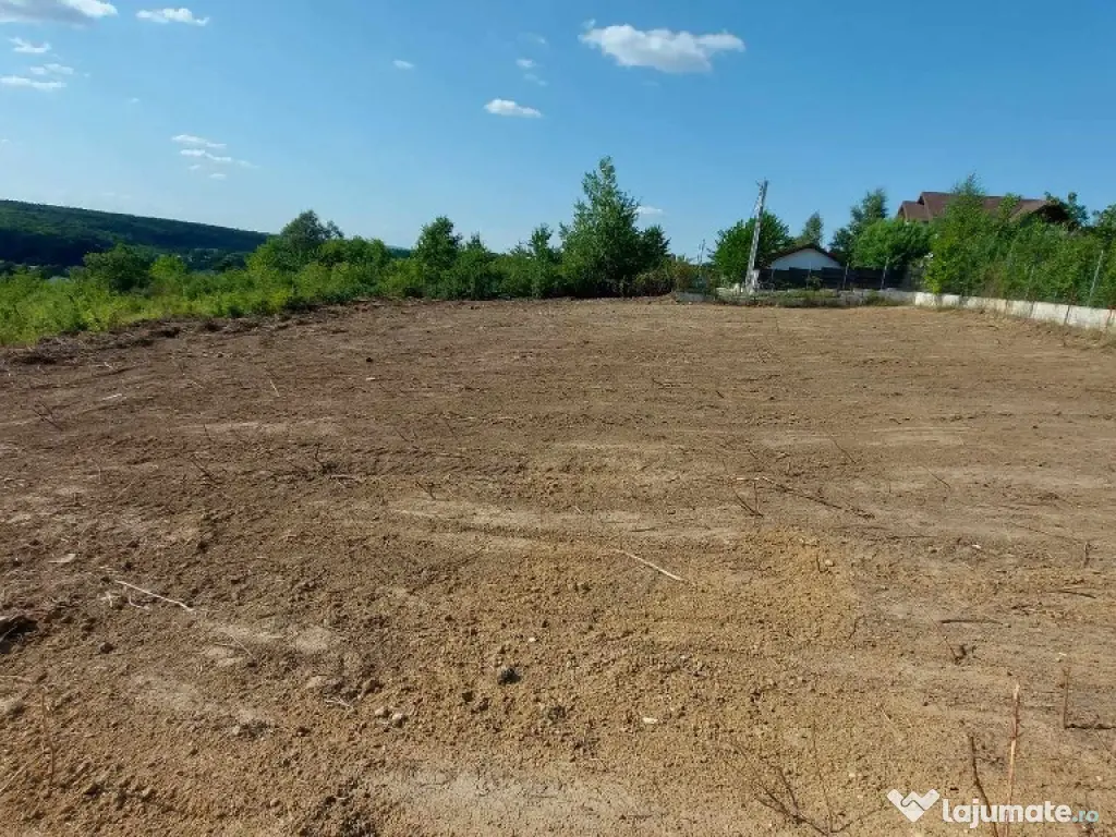 Teren intravilan , Bucium Barnova 