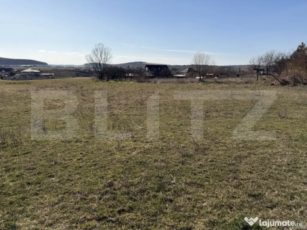 Teren intravilan in localitatea Hereclean in suprafata de 58 