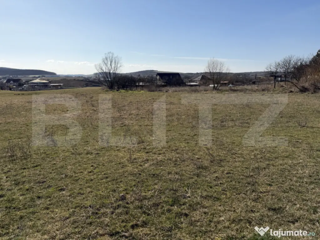 Teren intravilan in localitatea Hereclean in suprafata de 58 