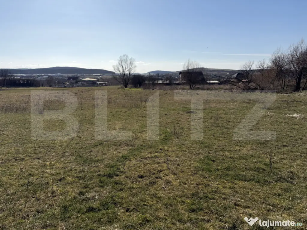 Teren intravilan in localitatea Hereclean in suprafata de 58 