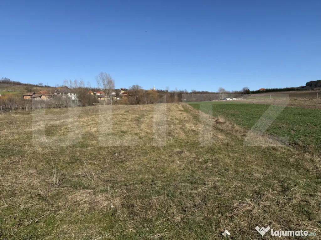 Teren intravilan in localitatea Hereclean in suprafata de 58 