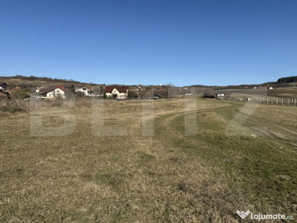 Teren intravilan in localitatea Hereclean in suprafata de 58 