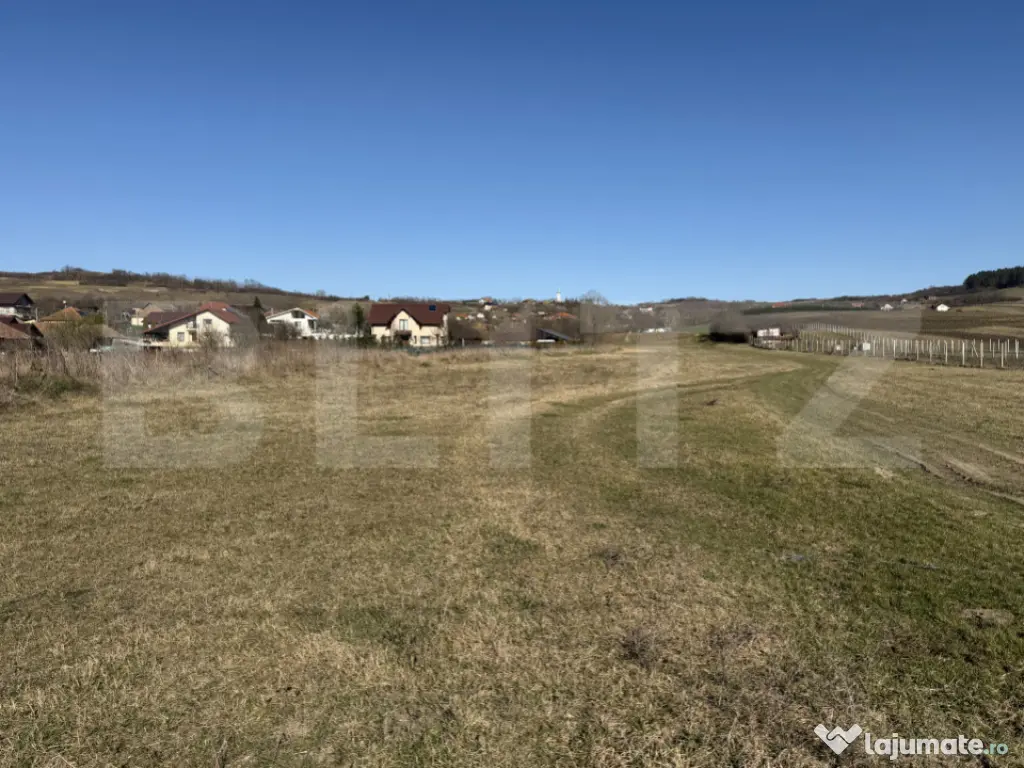 Teren intravilan in localitatea Hereclean in suprafata de 58 