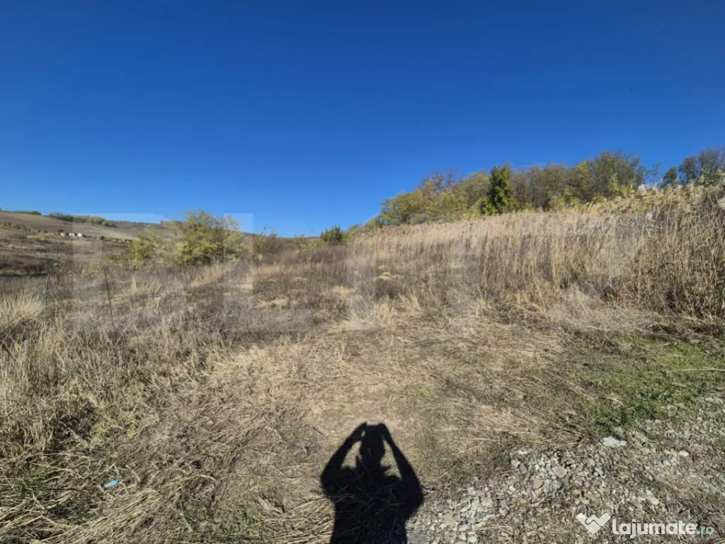 Teren 650 mp intravilan, locatie deosebita, Valea Lupului 