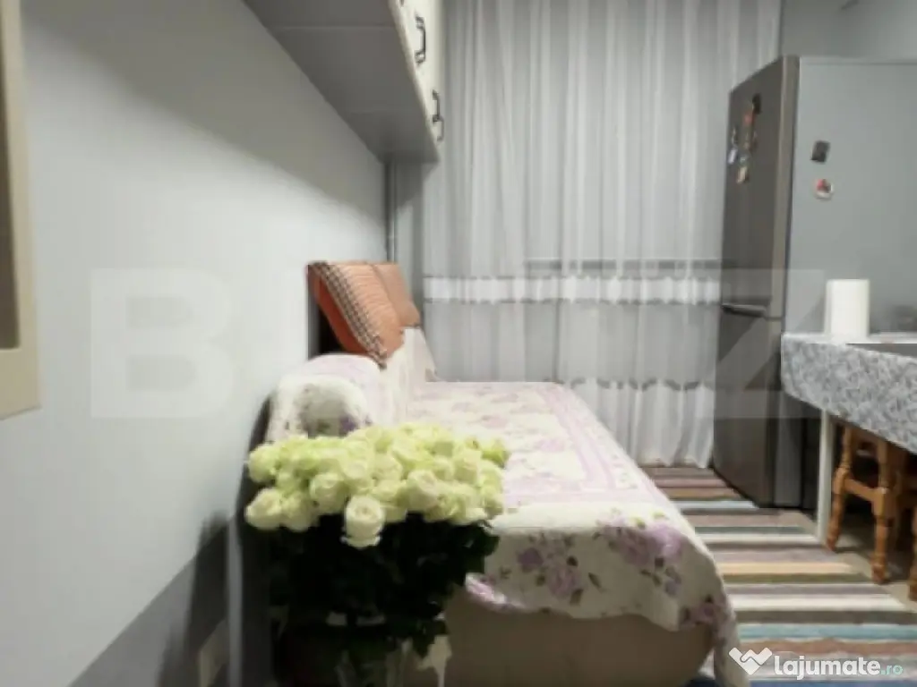 Garsoniera, 22 mp, etaj intermediar, cartier Burdujeni 
