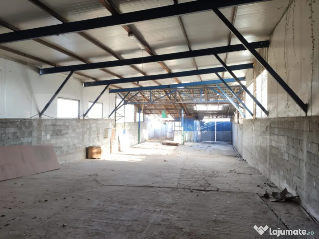 Proprietate Mixtă cu Hală de Producție și Locuință – 