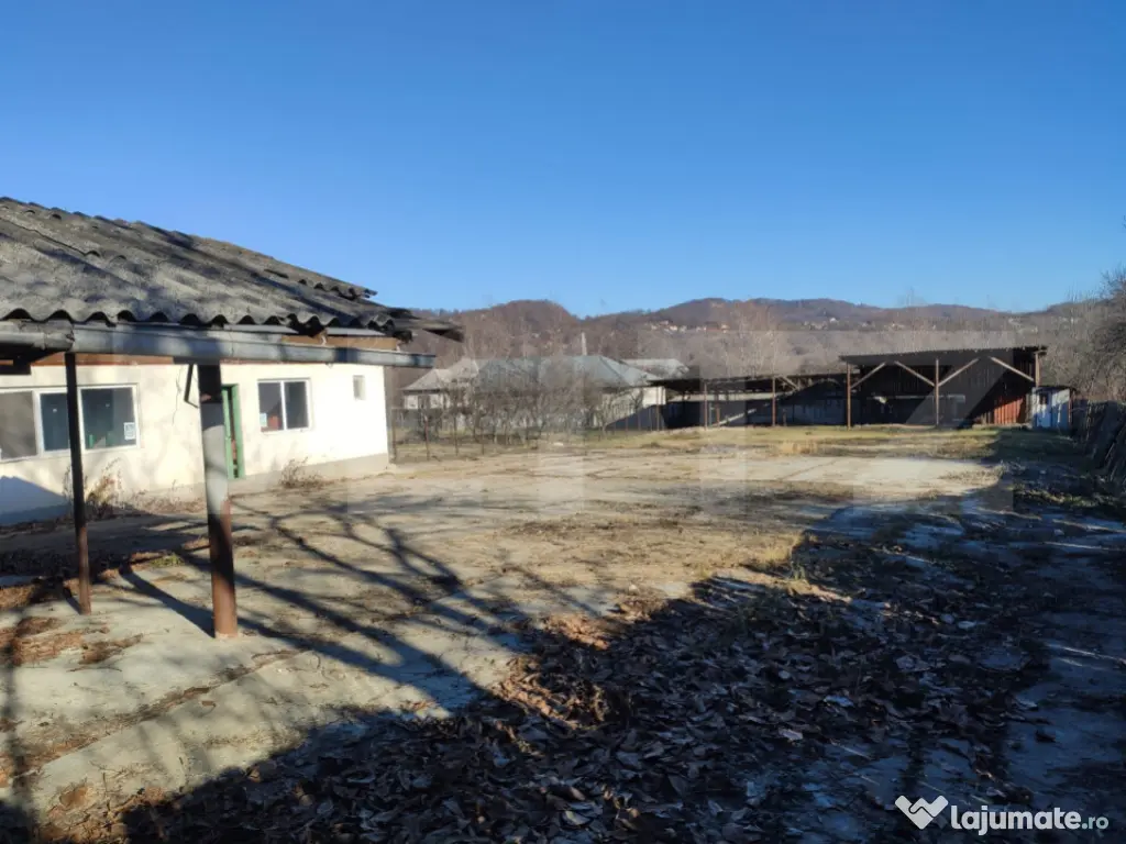 Proprietate Mixtă cu Hală de Producție și Locuință – 