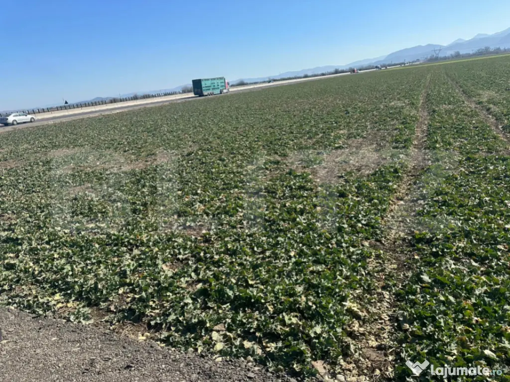 Teren de vânzare – 47.577 mp, Codlea, cu deschidere la DN 