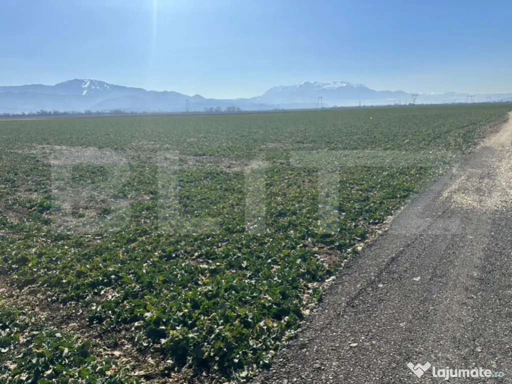 Teren de vânzare – 47.577 mp, Codlea, cu deschidere la DN 