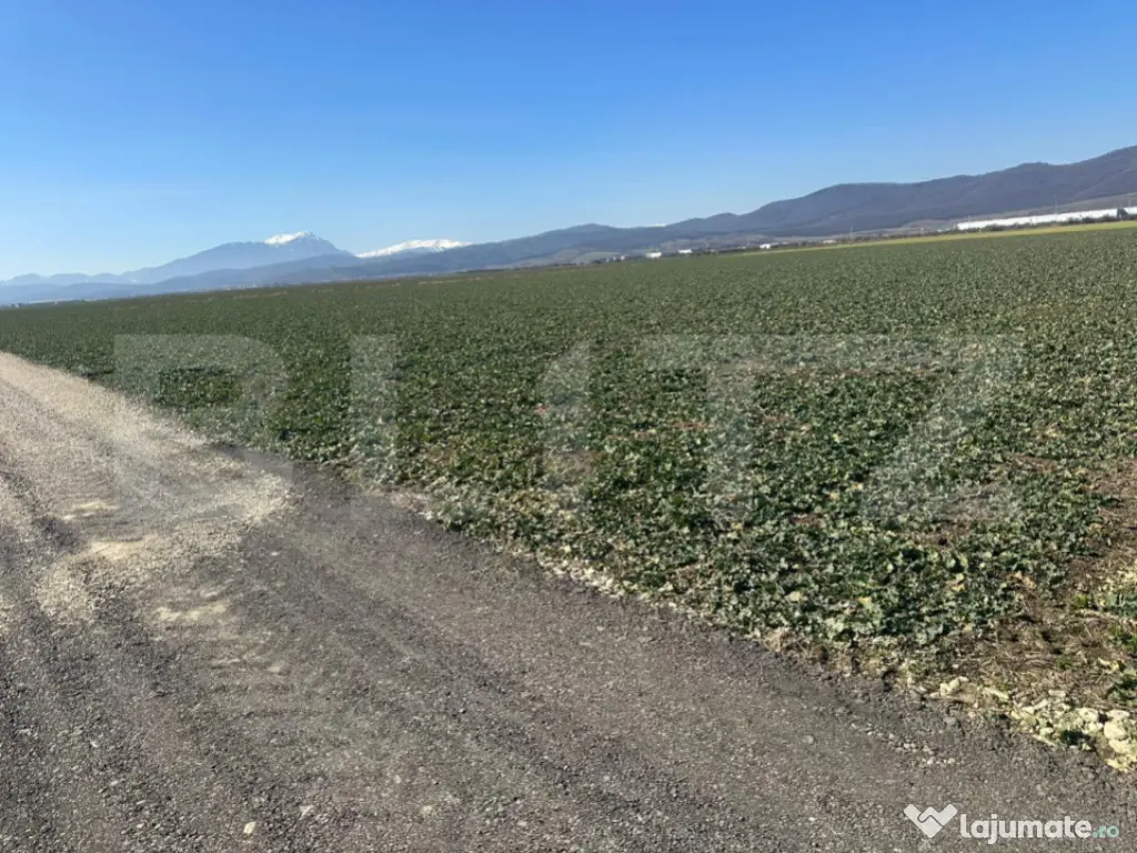 Teren de vânzare – 47.577 mp, Codlea, cu deschidere la DN 