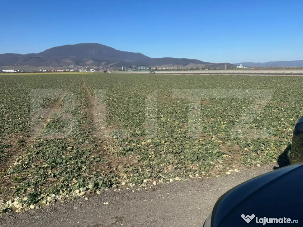 Teren de vânzare – 47.577 mp, Codlea, cu deschidere la DN 