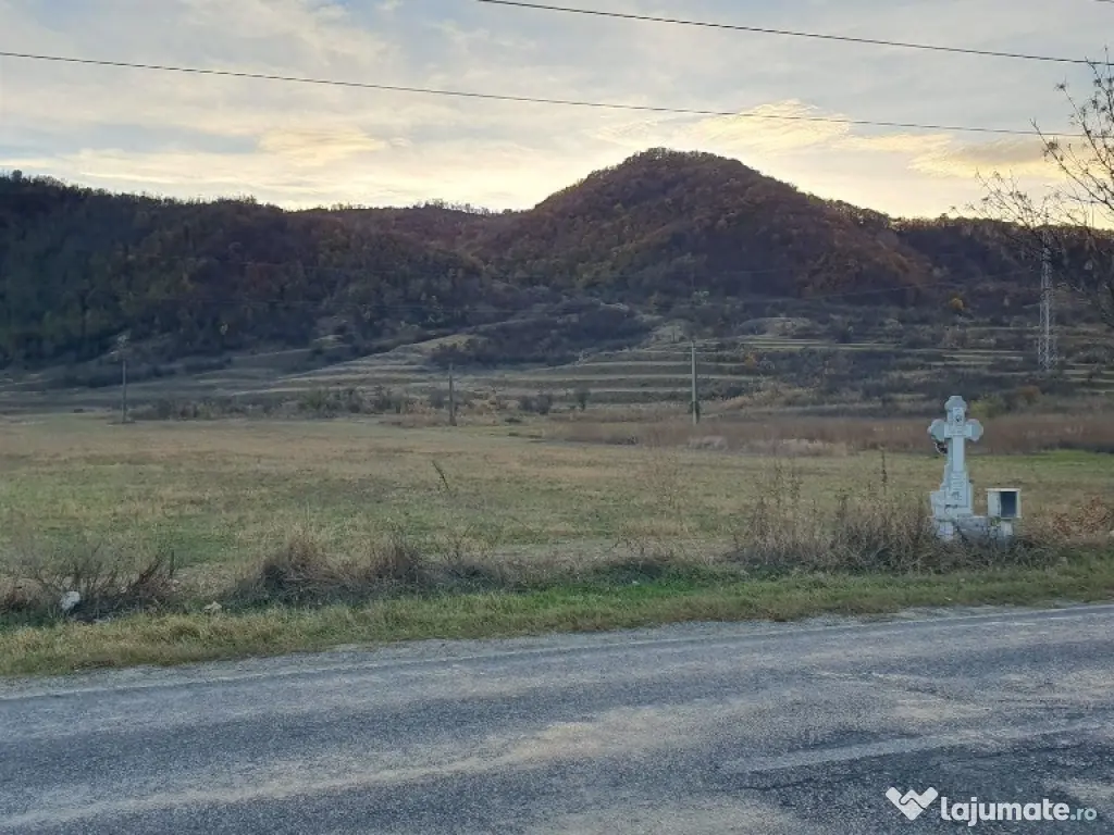 Teren intravilan ~ zona Candesti/BZ ~ 10.000mp ~ d=52m la DN10 