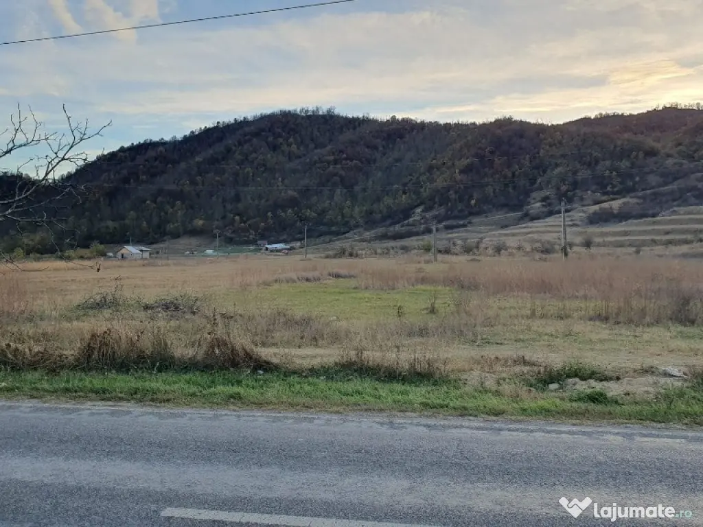 Teren intravilan ~ zona Candesti/BZ ~ 10.000mp ~ d=52m la DN10 