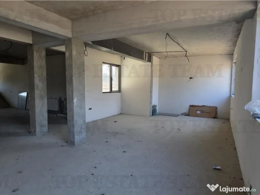 Domnesti - Potential investitional/ Casa la gri 476mp si ter 