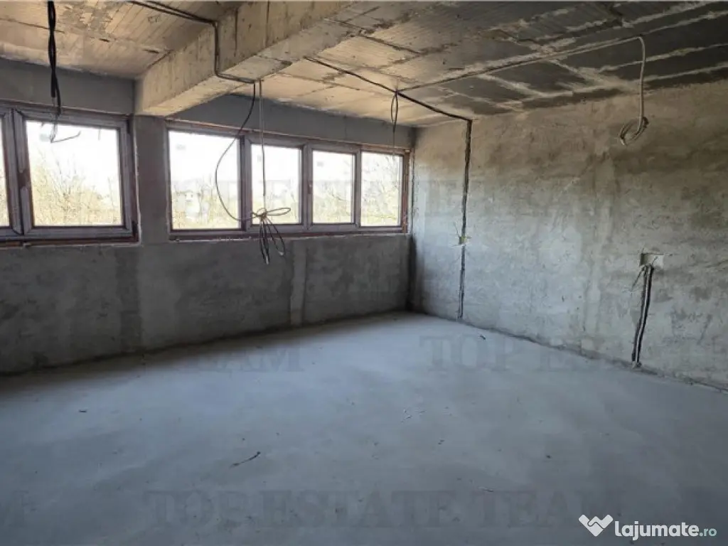 Domnesti - Potential investitional/ Casa la gri 476mp si ter 