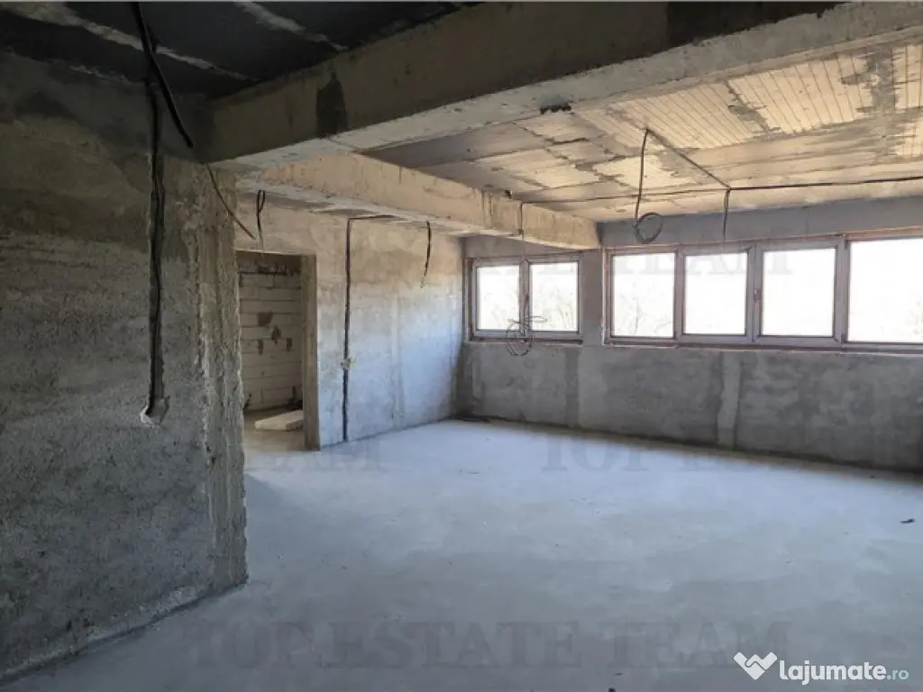 Domnesti - Potential investitional/ Casa la gri 476mp si ter 