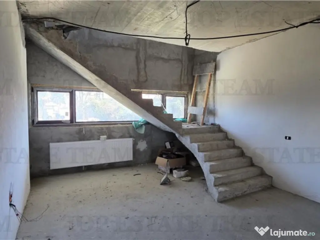 Domnesti - Potential investitional/ Casa la gri 476mp si ter 