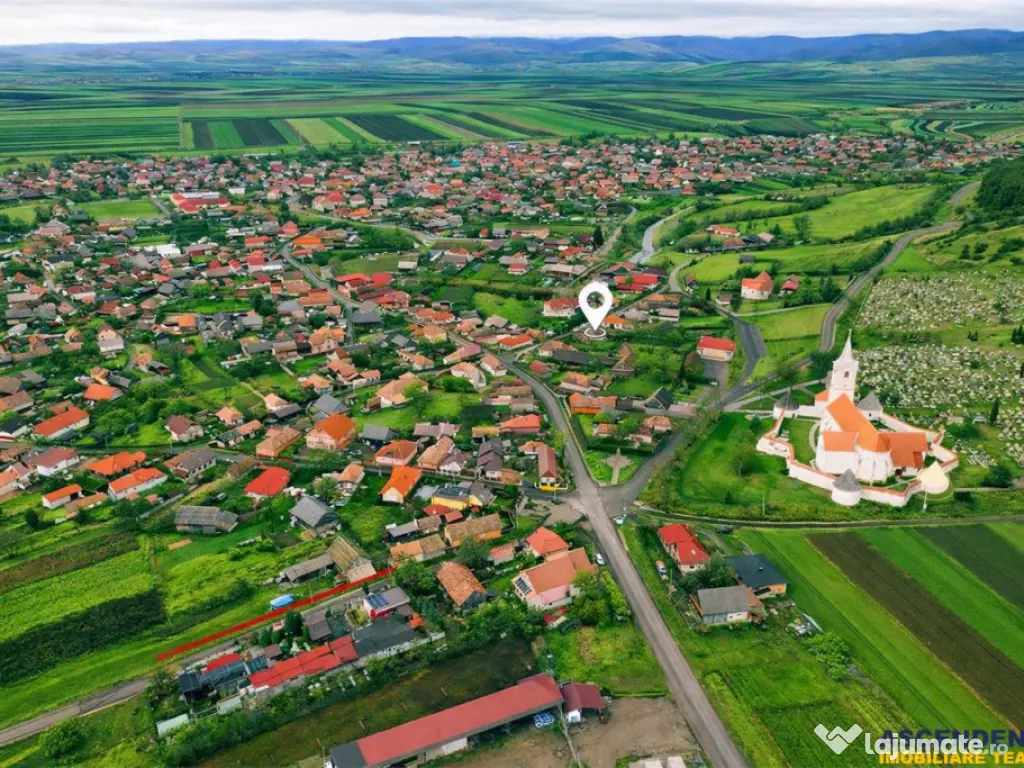 FILM! Gospodarie cu atmosfera traditionala,1.032 mp de verde 