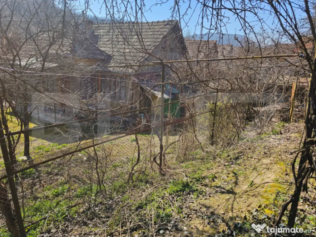 Casă 4 camere, teren generos de 3.800 mp, Măgina, comuna