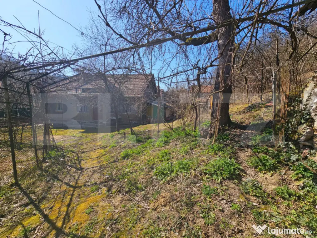 Casă 4 camere, teren generos de 3.800 mp, Măgina, comuna