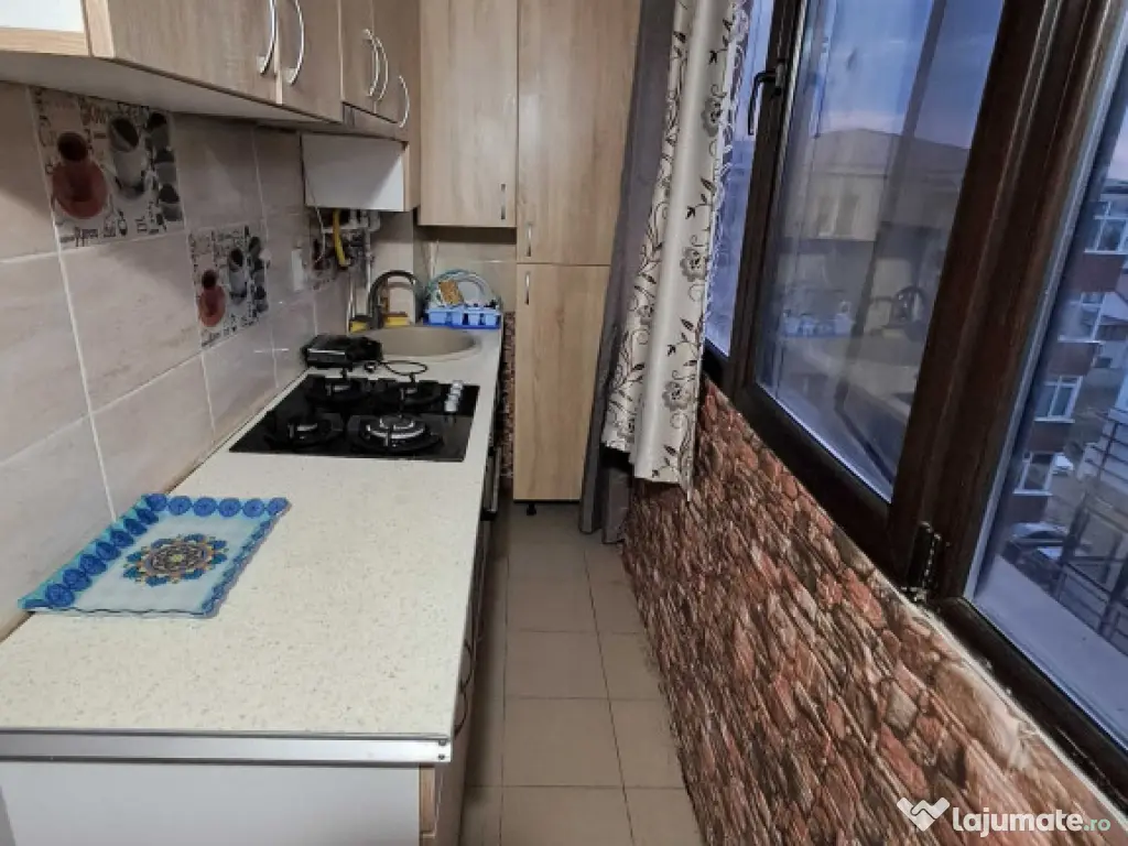 Dimitrie leonida studio dubla drumul fermei 