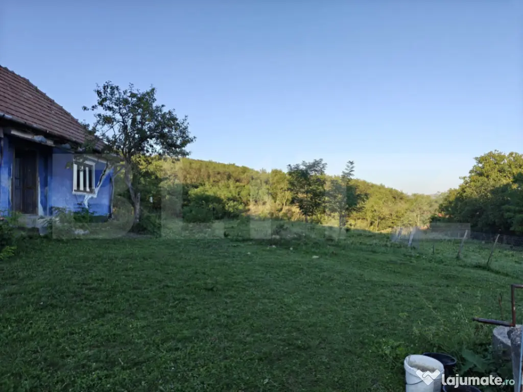 4700 mp teren intravilan - Rascruci - EXCLUSIVITATE 