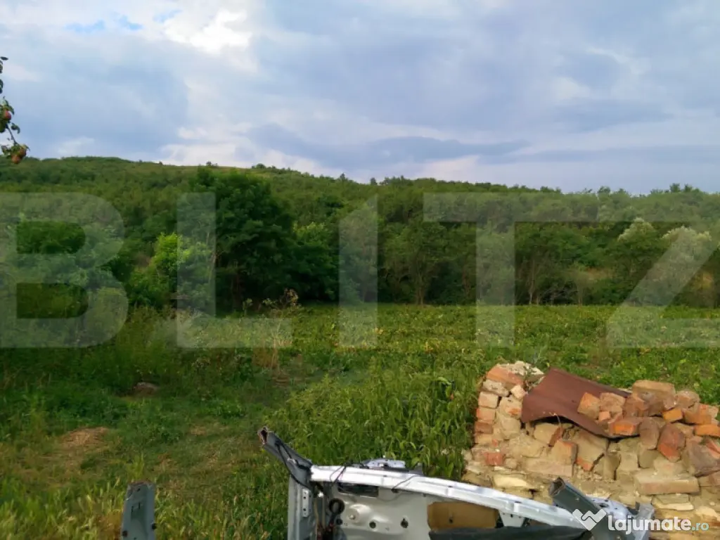 4700 mp teren intravilan - Rascruci - EXCLUSIVITATE 