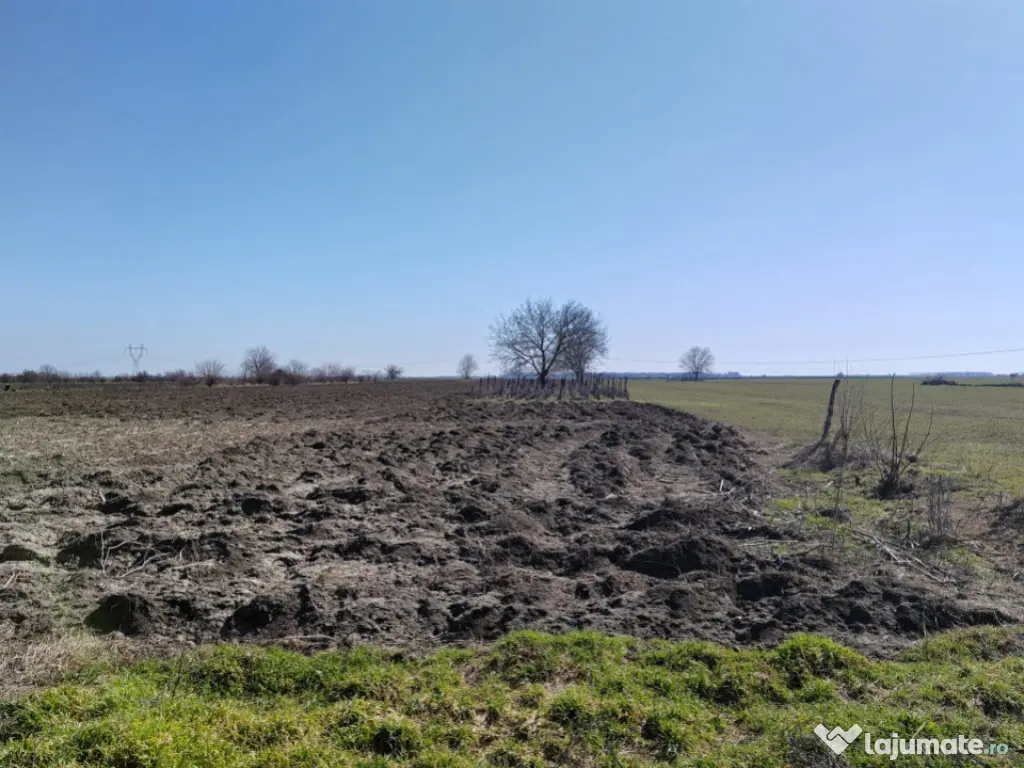 Teren generos cu deschidere 17 ml la stradă + casa– Vadul