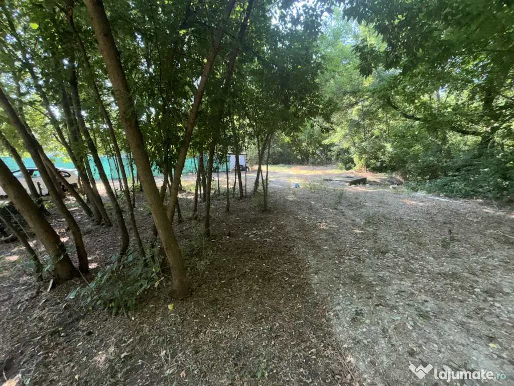 Spatiu comercial stradal central