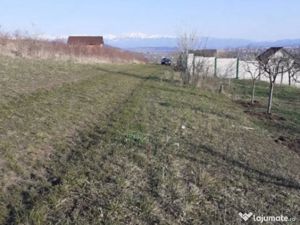 Teren intravilan Sura Mare 550mp 