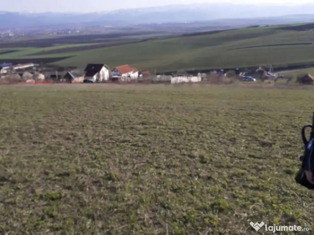 Teren intravilan Sura Mare 550mp 